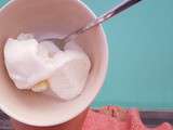 Glace maison yaourt & coco