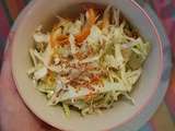 P’tite salade de chou & carotte à la japonaise