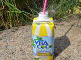 Dégustation de la boisson vita coco limonade  Dégustabox 