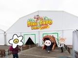 Dino expo world