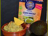 J'ai tester le mélange guacamole à la mexicaine sainte Lucie de la Degustabox d'avril