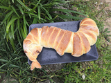Serpent (ou chenille) brioché au chocolat de Pâques