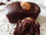 Bouchées cacaotées aux noisettes
