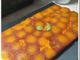 Gâteau aux abricots au sirop