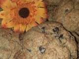 Cookies choco/pralin et germe de riz (Sans gluten)