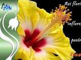 Prix pour le printemps