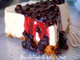 Cheesecake aux myrtilles (sans cuisson)