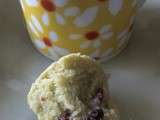 Mini Muffins Pistache/Cranberries