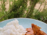 Poulet sauce tomate / parmesan