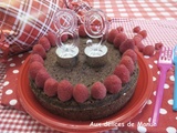 Gâteau au chocolat noir et noix de coco au lait de coco, pour diabétique ou pas -ig bas