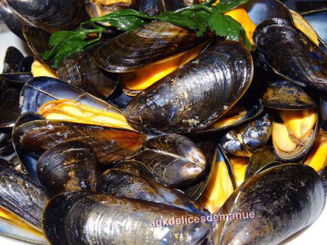 Recettes de Moules de Bouchot