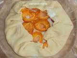 Croustade aux abricots, pâte sablée de christophe felder