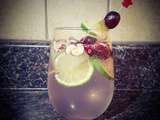 Coktail canneberges coquines