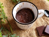 Mug cake au chocolat