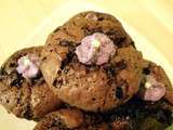 Muffins au chocolat et aux myrtilles
