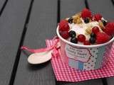 My Frozen Yogurt (glace au yaourt maison) {My American Month}