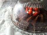 Gâteau «Truffe» Au Chocolat De Ricardo