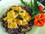N° 16 - Concours  Reine des courges  - butternut gingembre curcuma sur risotto de quinoa