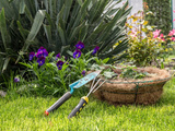 Jardin éco-responsable : 5 conseils pour aménager un espace vert durable