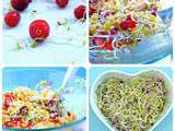 Salade minceur Quinoa, poulet et Cranberries