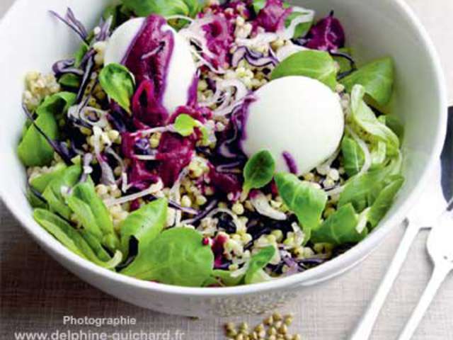 Recettes de Salade végétarienne de BIOGOURMAND