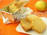 Seignalet - Cake sans gluten au citron du jardin d’azur