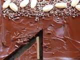 Gâteau au chocolat-mascarpone Vous aimez