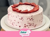 Gâteau glacé aux fraises
