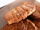 Biscuits aux épices et flocons d'avoine type  b.lvita 