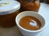 Compote de pommes ou poires tombées au sol à l'érythritol, vanille & citron