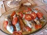 Maquereau farci au saumon, sur lit de tomates et courgettes
