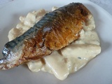 Maquereau grillé sauce moutarde aux cébettes et aux salsifis