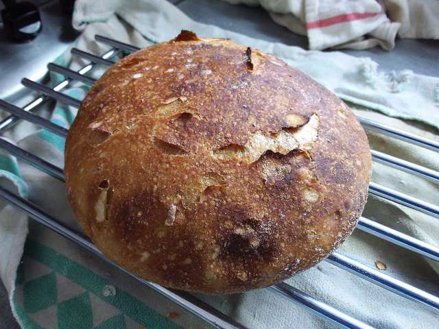 Recettes de Fermentation Lente