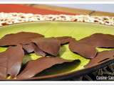 Blog cuisine bio : feuilles en chocolat