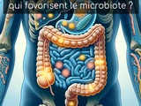 Quels sont les aliments qui favorisent le microbiote