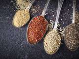 Grain de folie du quinoa