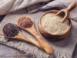 Quinoa Priméal de Bolivie, un grain bio protégé