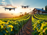 Tech & terroir : trouver le bon équilibre