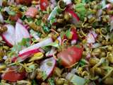 Salade de haricots mungos germés – Sprouted mung beans salad