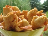Beignets de crevettes et petit cormoran bien docile