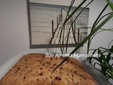 Gâteau aux groseilles blanches et rouges et L214 dénonce leclerc