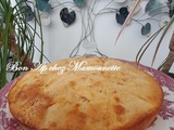 Gâteau aux pommes, Buddy à la plage et bébé goéland