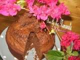 Gâteau moelleux chocolaté et souvenirs de Ploumanach' et Perros Guirec