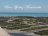 Huîtres des parcs de Cancale 35 et Araignée de mer de la côte bretonne, bonne fête des papas pour dimanche