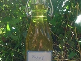 Sirop de menthe maison