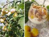 Panna cotta aux mirabelles vanillées et crumble flocons d’avoine… Croustillant, fruité, fondant, miam