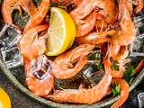 Fruits de mer et poissons : trouver un restaurant de qualité à Cabourg