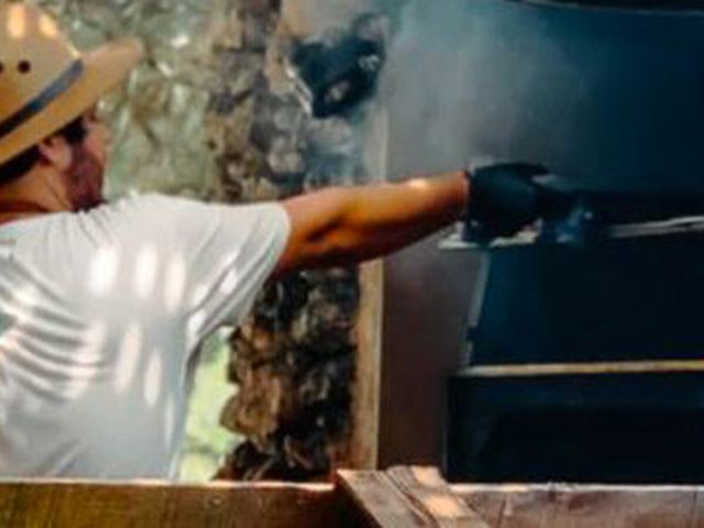 Recettes de Cuisine Durable