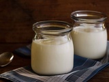 Yaourts maison à la Multi-Délices : mes 10 recettes préférées