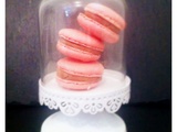 Macaron Rosé